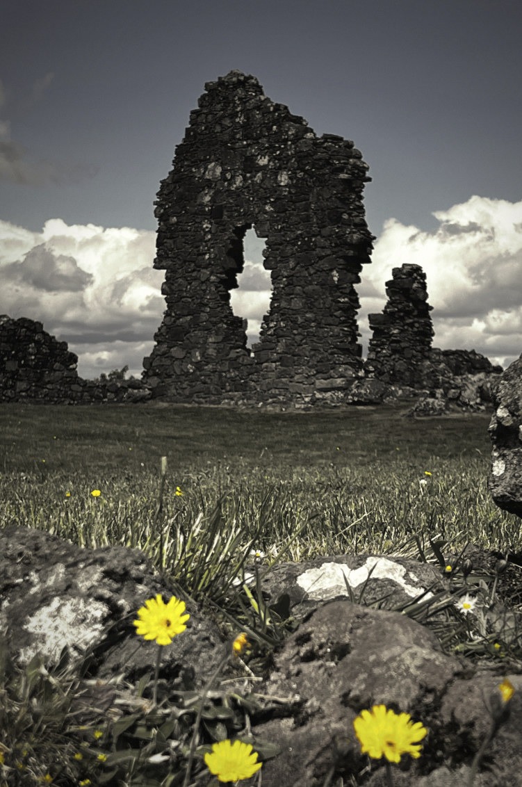 Historic Scottish stone ruins framed by grass and small yellow flowers beneath a blue sky.