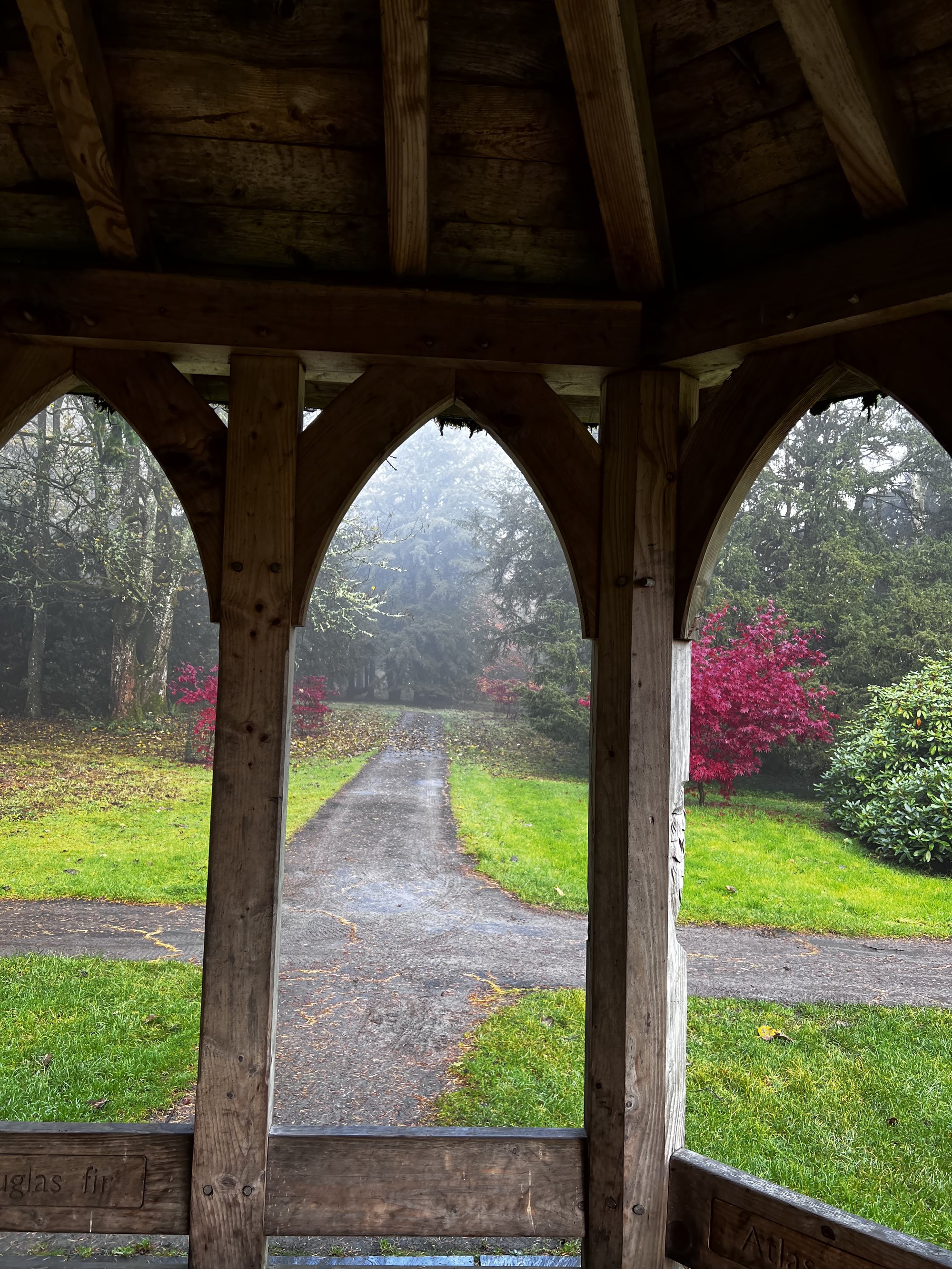 A misty path seen through old wooden arches